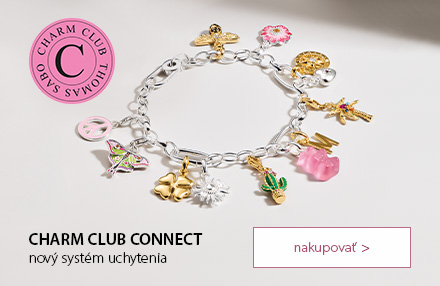 THOMAS SABO Connect Charms