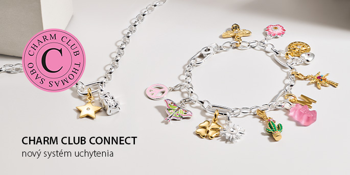 THOMAS SABO Connect Charms