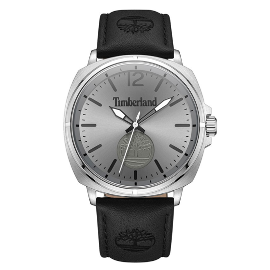 TIMBERLAND pánské hodinky WILLISTON hodinky TITDWGA0010602
