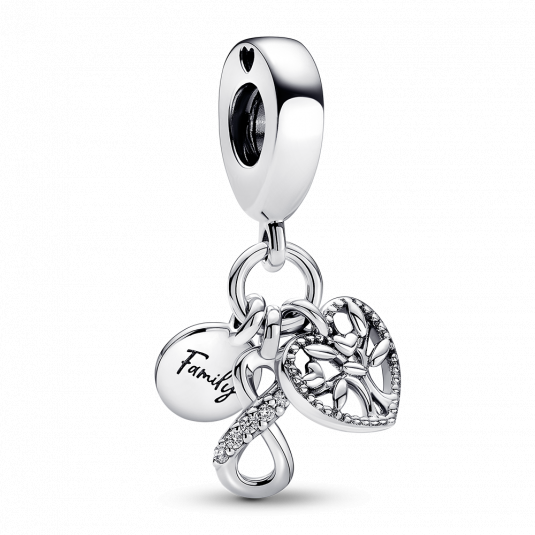 PANDORA korálek Symboly rodiny přívěšek 792201C01