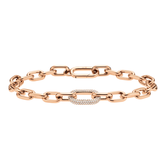 DANIEL WELLINGTON dámský náramek Crystal Link náramek DW004005XX-2
