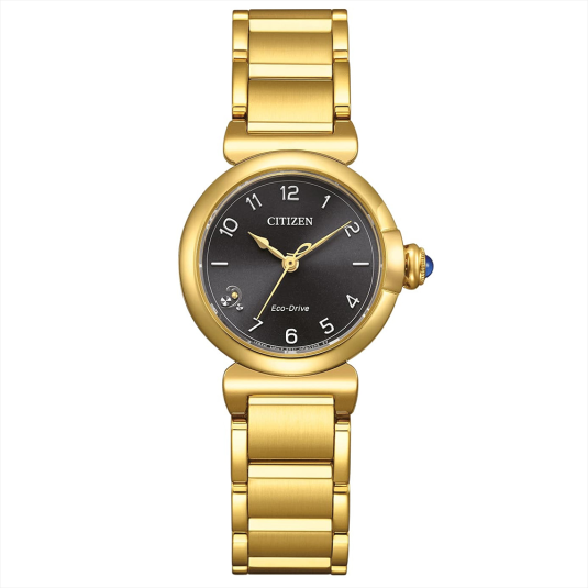 CITIZEN dámské hodinky Eco-Drive hodinky CIEM1132-88H