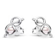 pandora set 393762C01+293761C01_2
