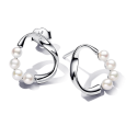 pandora set 393303C01+293276C01_5
