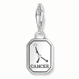 charmista thomas sabo prívesok 2146 643 21_3