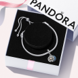 pandora set 599652C01+782975C01_5