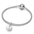 pandora set 393052C00 50+793783C01_6
