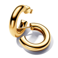 pandora pozlátené náušnice 263266C00