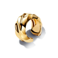 pandora essence kusová náušnica 263872C00