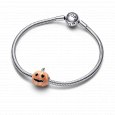 pandora náramok 590728+792291C01