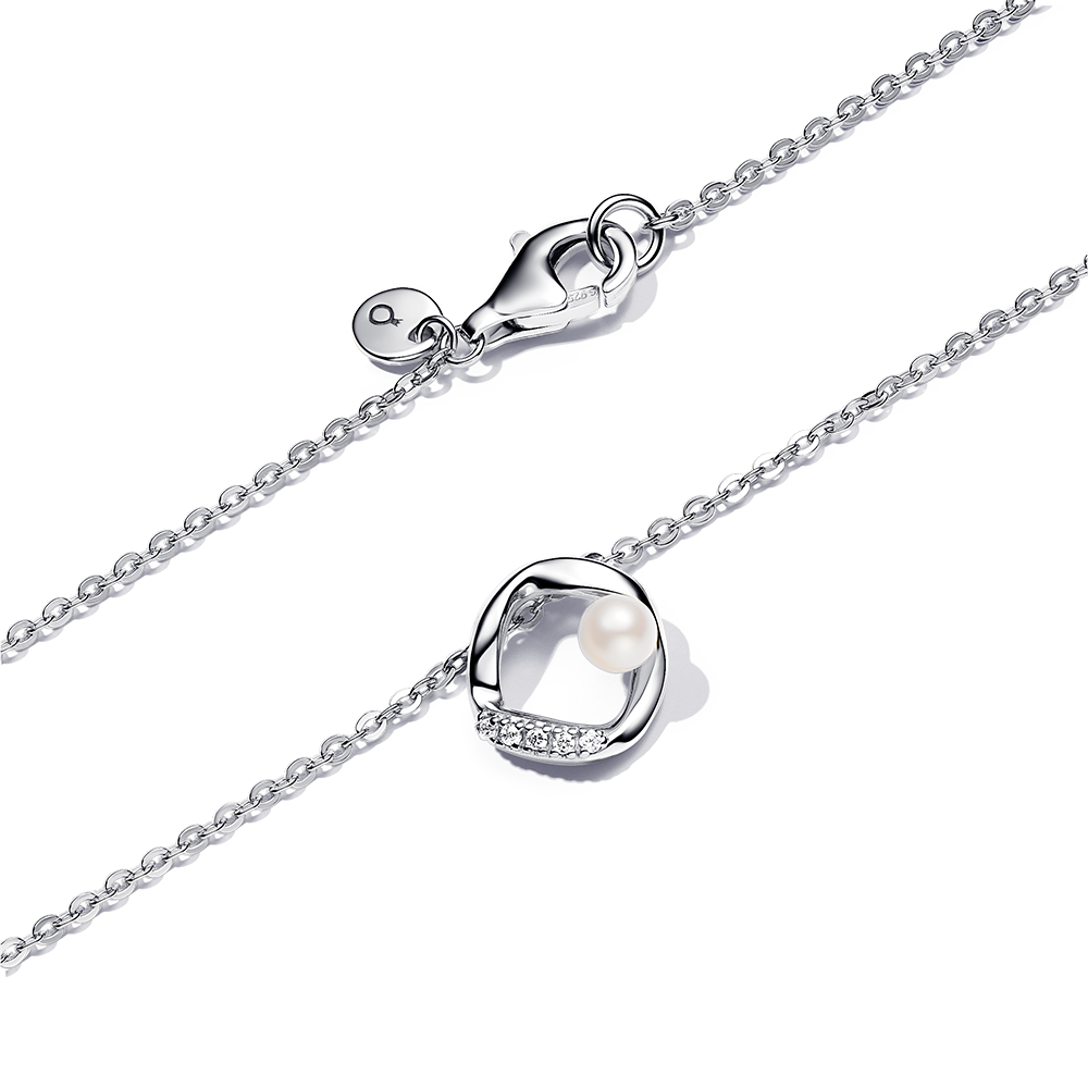 pandora set 393303C01+293276C01_3