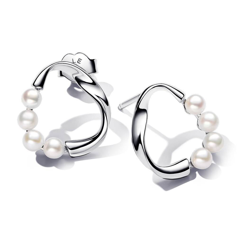 pandora set 393303C01+293276C01_5