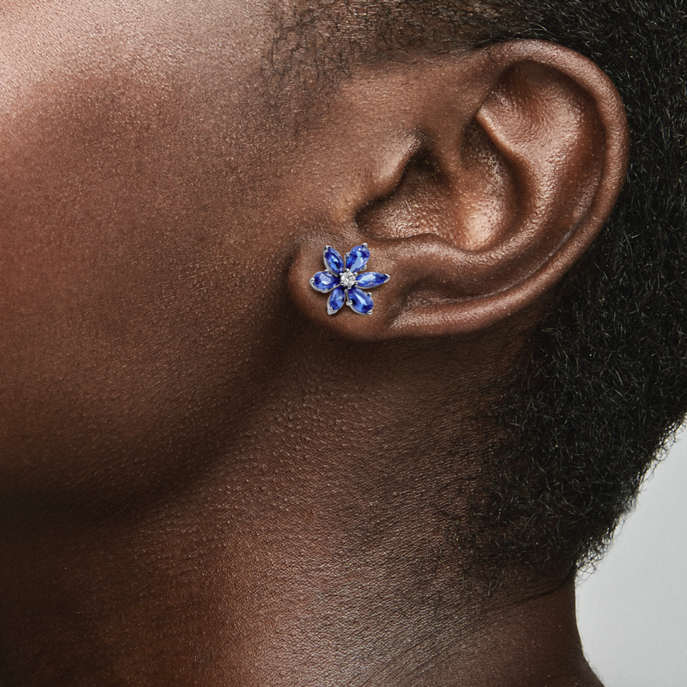 pandora set 392387C02+292407C01_7
