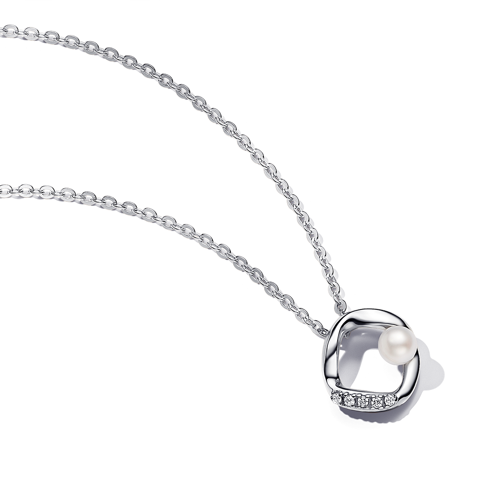 pandora set 393303C01+293276C01_2